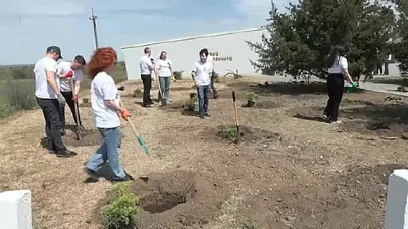 Представители Адвокатской палаты высадили можжевельник у мемориала «Живые – помните!». АНО "ЗаМедиа"
