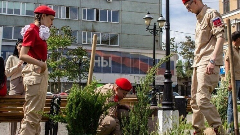 В Мелитополе высадили можжевельники в рамках озеленения города. АНО "ЗаМедиа"