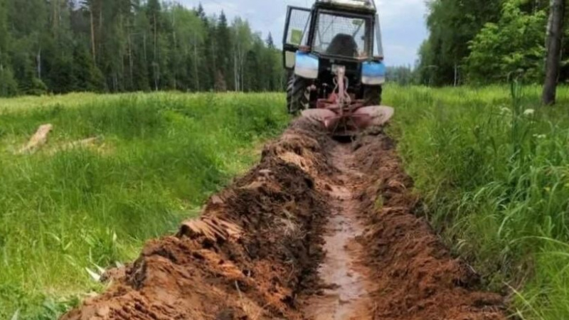 В Акимовском районе провели работы по созданию противопожарных полос. АНО "ЗаМедиа"