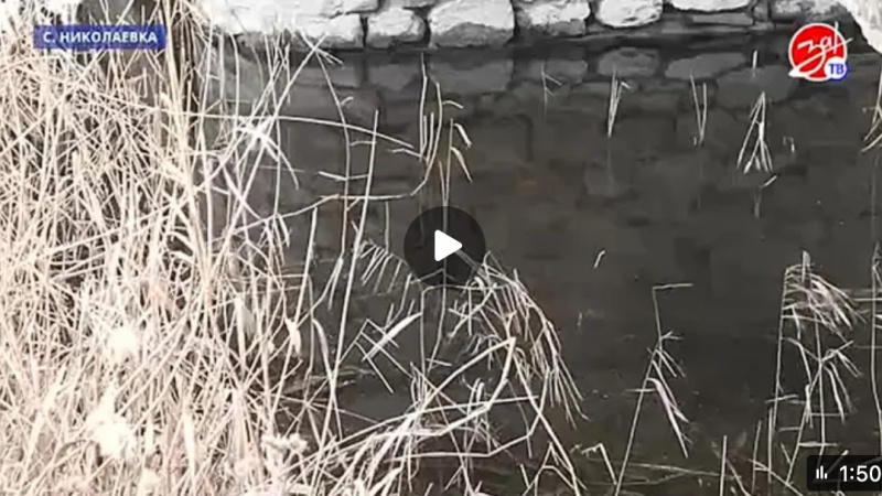 Расчистка реки Берда.. АНО "ЗаМедиа"