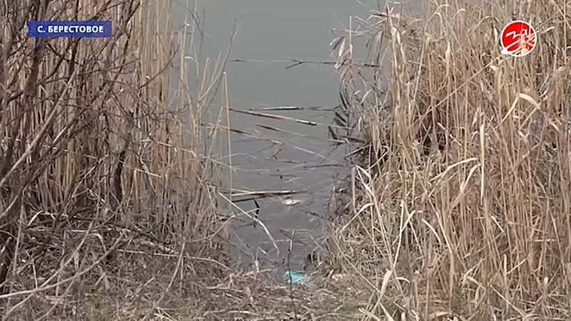 Профильная комиссия провела визуальное обследование водохранилища в селе Берестовое. АНО "ЗаМедиа"