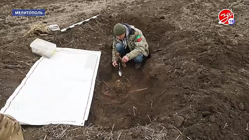 Поисковики вместе со следователями проводят эксгумацию останков красноармейцев. АНО "ЗаМедиа"