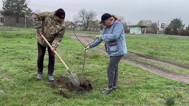 В селе Троицкое к 80-летию Победы сотрудники сельского клуба высадили деревья. АНО "ЗаМедиа"