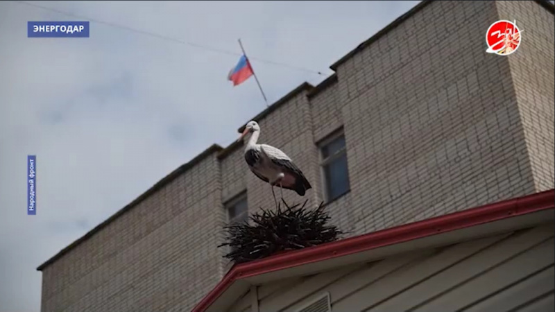 Народный фронт доставил гуманитарную помощь в роддом в Энергодаре. АНО "ЗаМедиа"