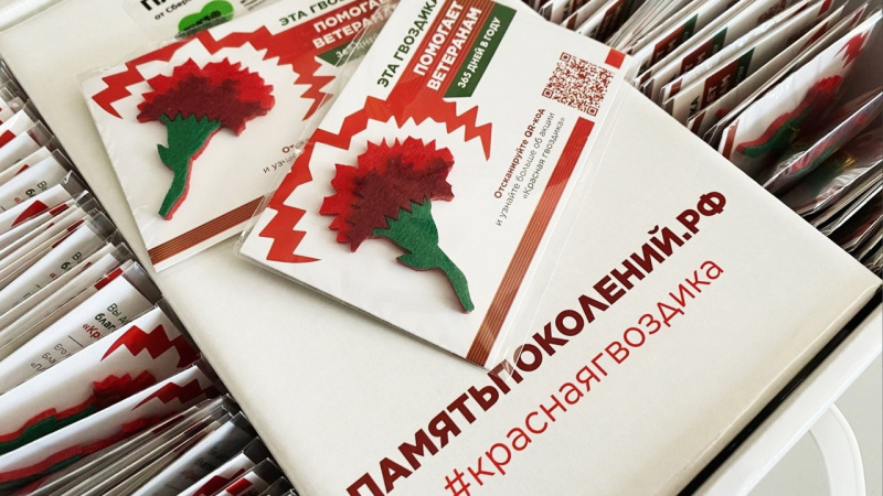 Активисты движения «Волонтёры Победы» провели благотворительную акцию «Красная гвоздика». АНО "ЗаМедиа"